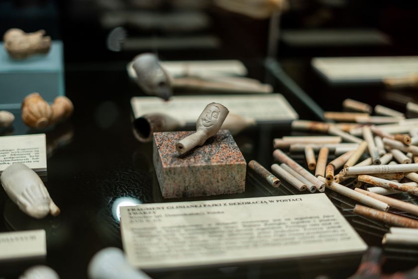 Wystawa Artificalia, naturalia, exotica w Muzeum Archeologicznym we Wrocławiu